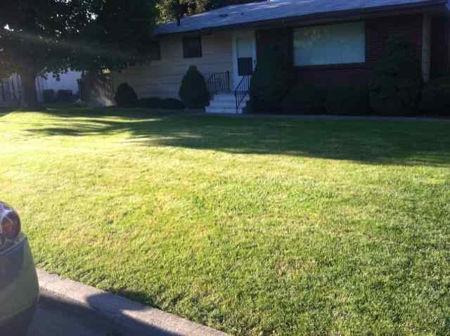 12117 E Skyview Ave - Photo 15