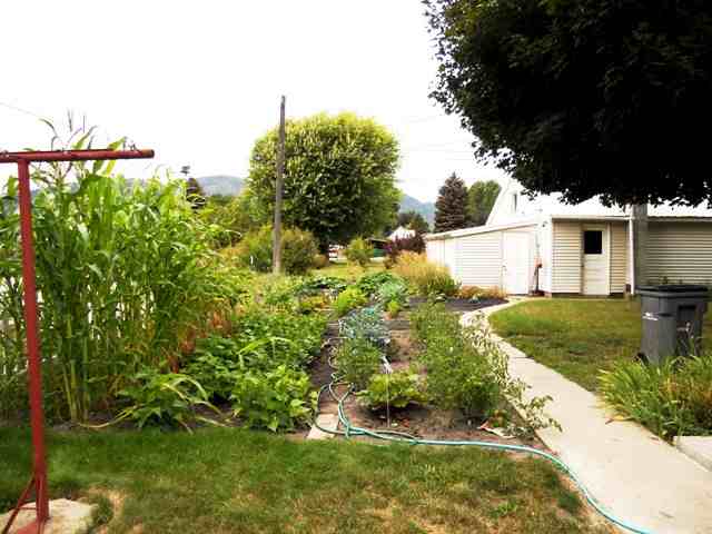 705 W Robert Ave - Photo 5
