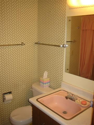 27224 N Bear Lake Rd - Photo 7