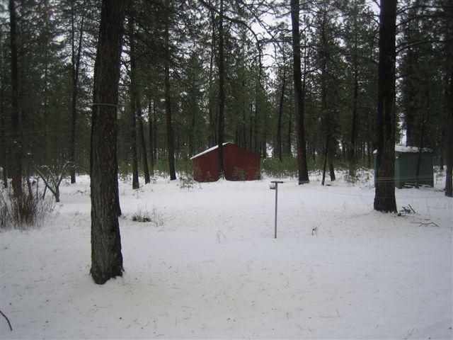 27224 N Bear Lake Rd - Photo 9