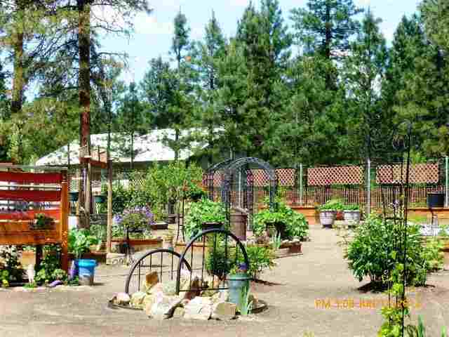 3349 D Rockcut Rd - Photo 17