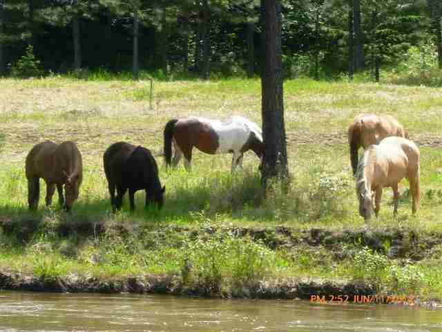 3349 D Rockcut Rd - Photo 20