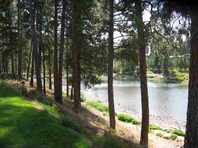 3349 D Rockcut Rd - Photo 6