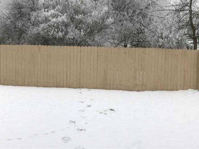 410 S Lucille Ct - Photo 12