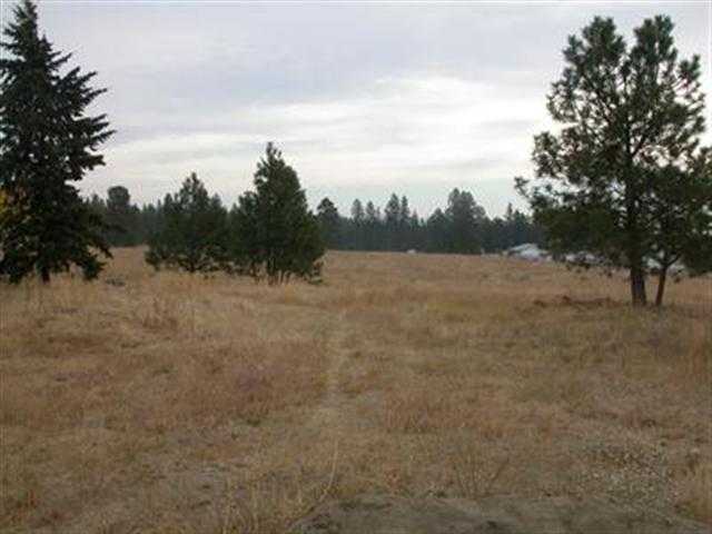 6309 S Assembly St - Photo 9