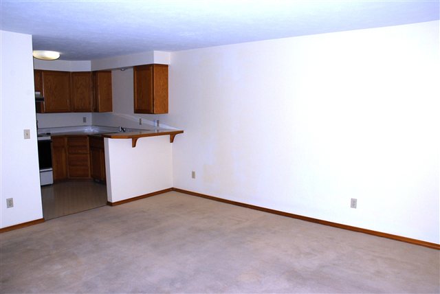 3808 S Alder Dr - Photo 3