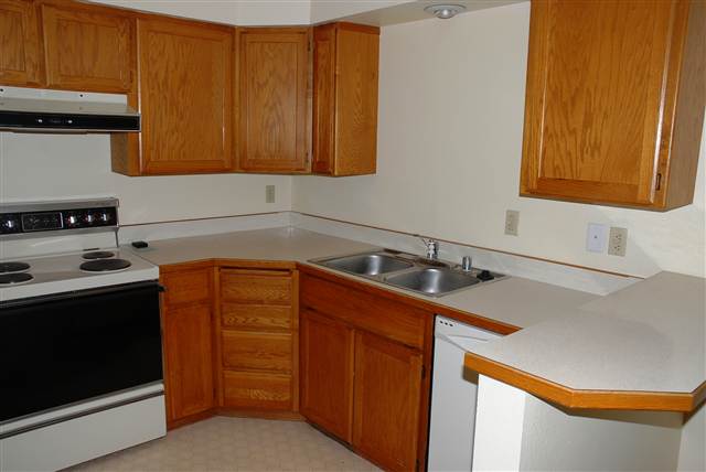 3808 S Alder Dr - Photo 5