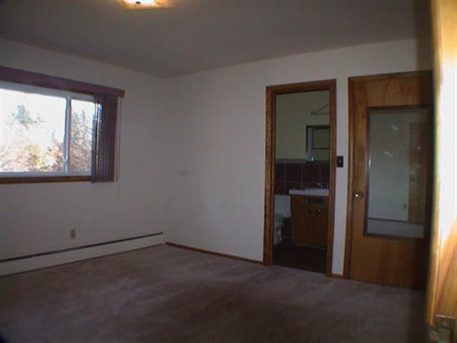 1427 S COOK St - Photo 9