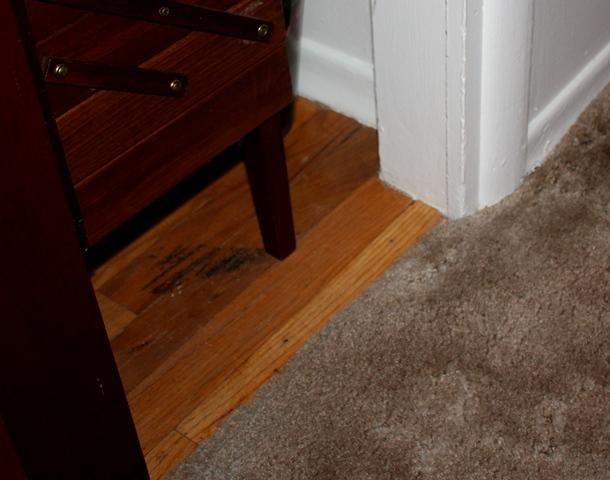 1624 S Blake Rd - Photo 8