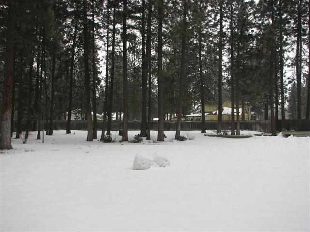 12719 W Greenfield Rd - Photo 19