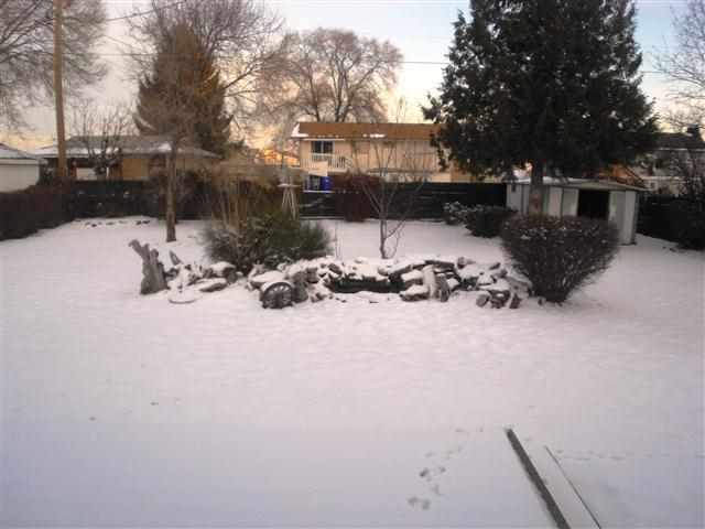 1816 N Balfour Rd - Photo 3