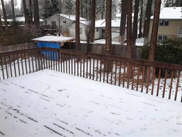 11719 N Highwood Ct - Photo 4