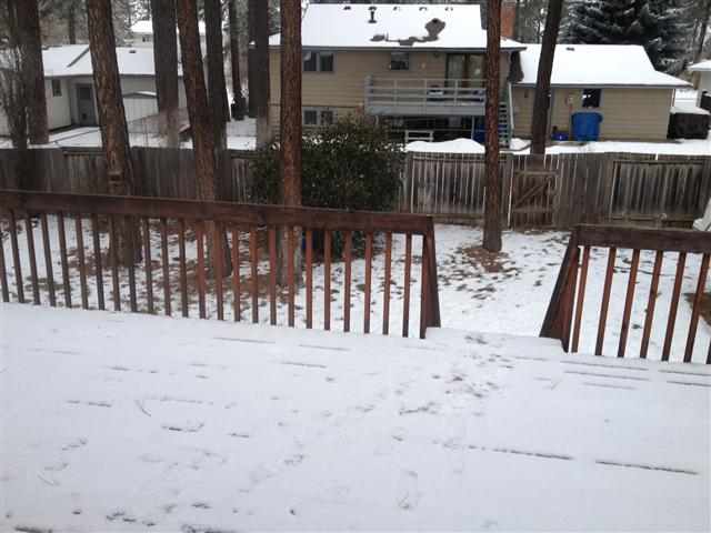 11719 N Highwood Ct - Photo 5