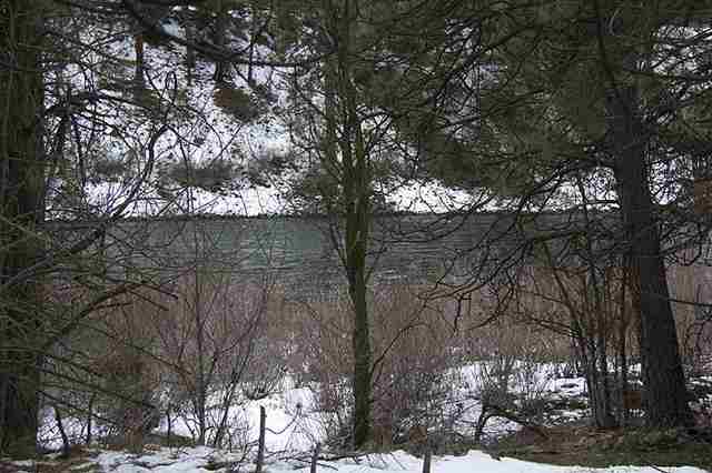1010 N Evergreen St - Photo 6