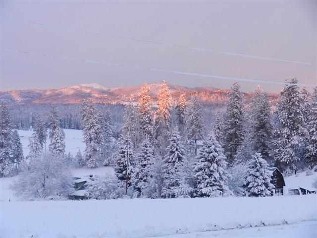 29607 N Dunn Rd - Photo 4