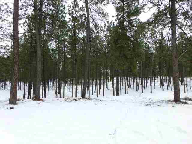 6823 S Dorset Rd - Photo 18