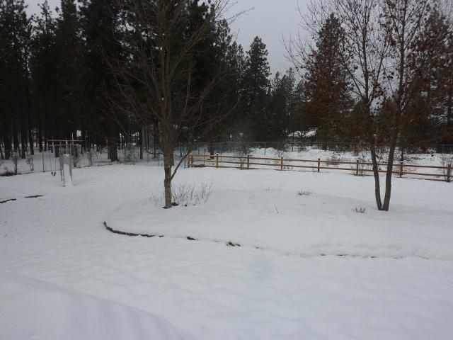 16848 N Hummingbird Ln - Photo 14