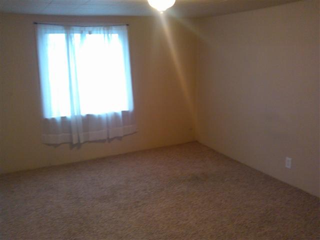 1607 W SHANNON Ave - Photo 7