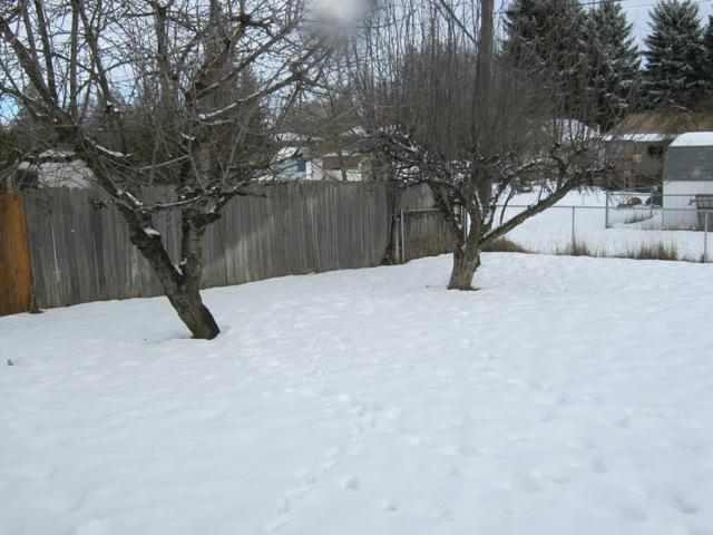 320 N WALKER St - Photo 10