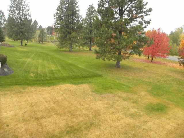 4815 E Birkdale Ln - Photo 15