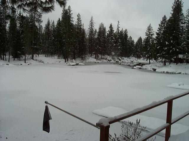 7342 Fertile Valley Rd - Photo 13