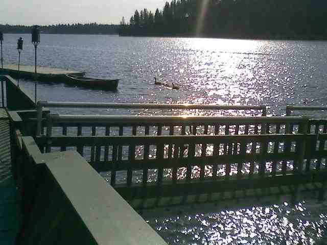 47135 E Deer Lake Way - Photo 10