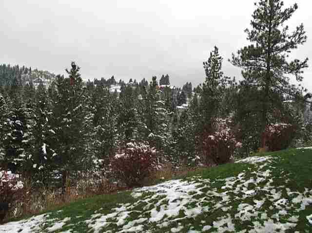 5709 S Cree - Photo 17