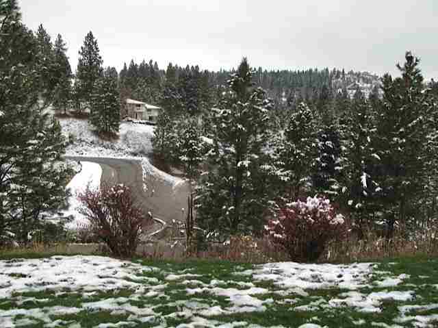 5709 S Cree - Photo 18