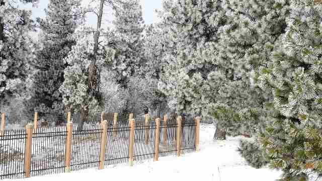 6105 E 25th Ln - Photo 12