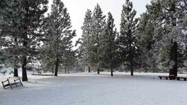 6105 E 25th Ln - Photo 13