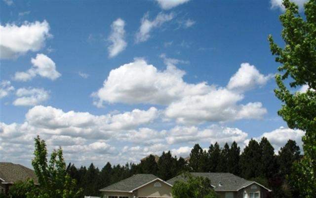 2207 S Steen Rd - Photo 20