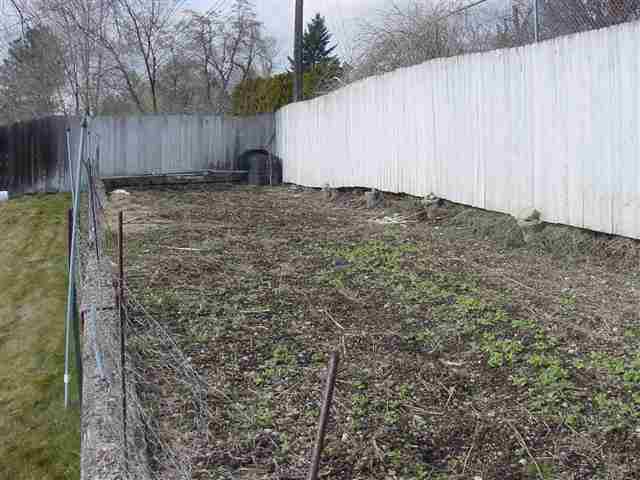 3927 E Bridgeport - Photo 12