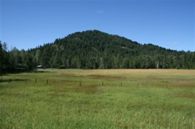 3466 Hwy 395 South - Photo 3