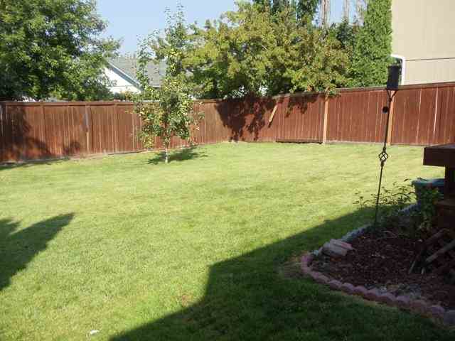 915 N Mitchell Ct - Photo 14