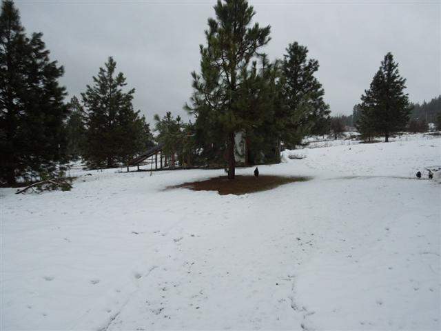 24410 N Perry Rd - Photo 20