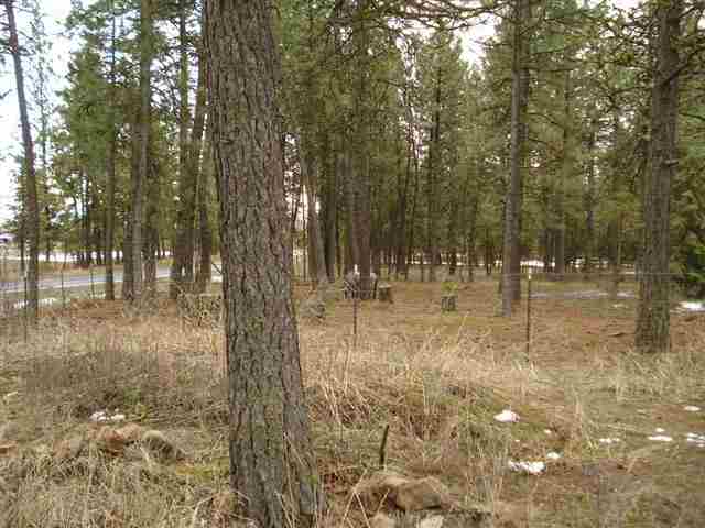 21308 S MILL Rd - Photo 15