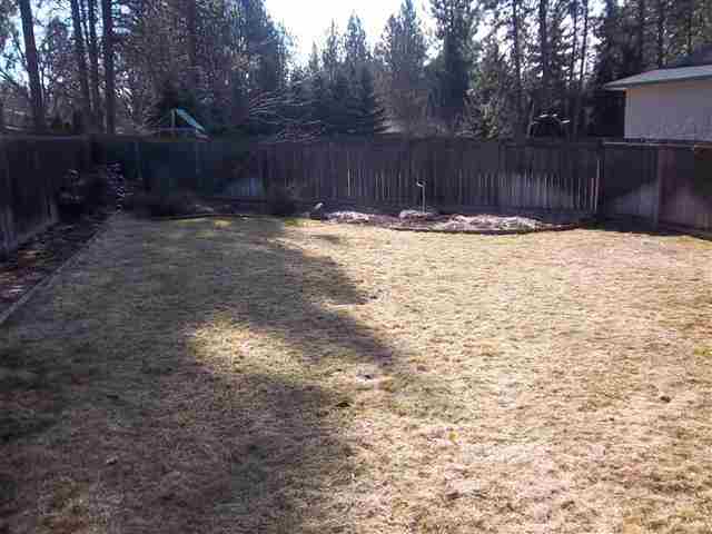 8508 N Pamela - Photo 3