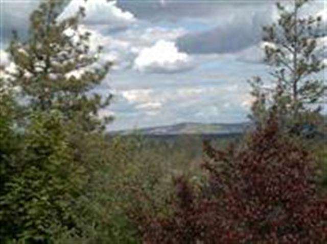 14604 S CHENEY-SPOKANE - Photo 16