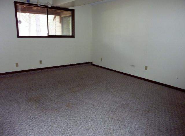 1314 E EASTVIEW Drive - Photo 14