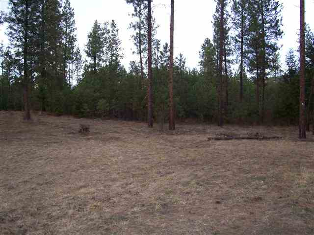 1184 C Old Kettle Rd - Photo 6