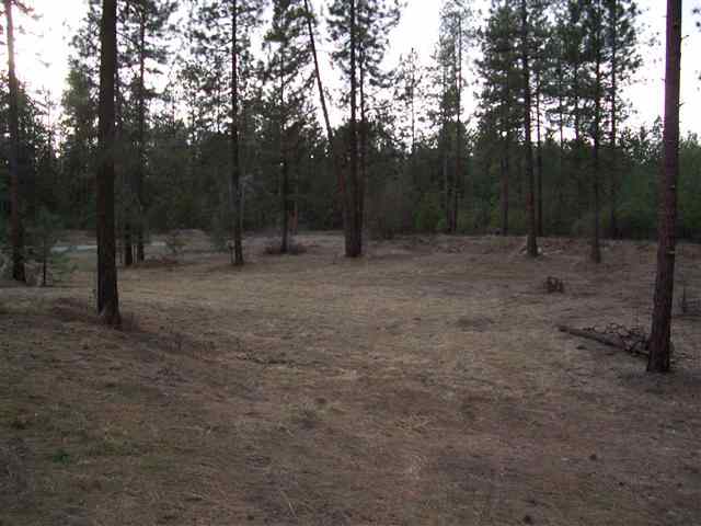 1184 C Old Kettle Rd - Photo 7