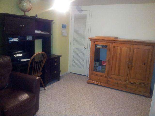1022 S Buena Vista Dr - Photo 13