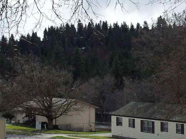 1022 S Buena Vista Dr - Photo 20