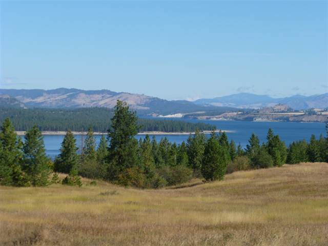 6237 Wolf Tracks Way - Photo 12