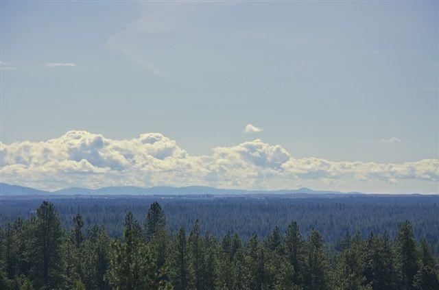 11320 S Chalet Dr - Photo 4