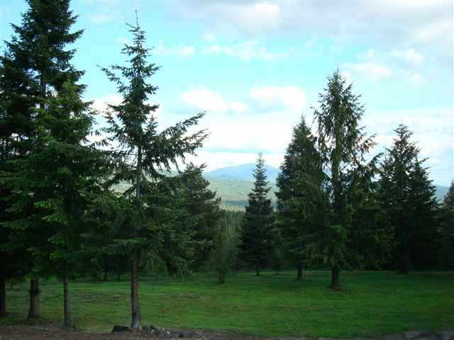 2591 Willms Rd - Photo 9