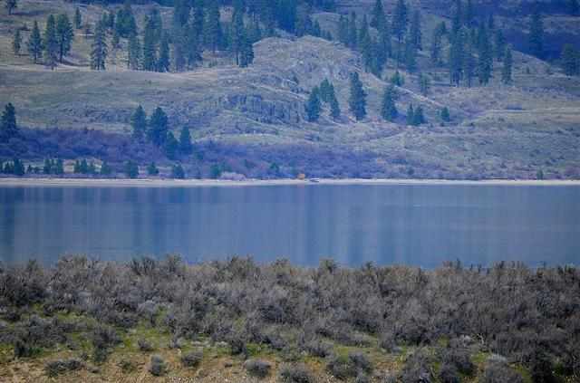 1002 Seven Bays Rd - Photo 3