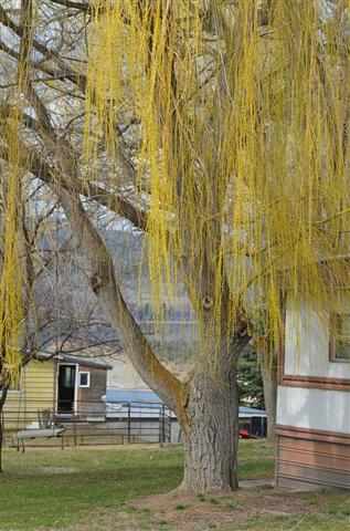 1002 Seven Bays Rd - Photo 4