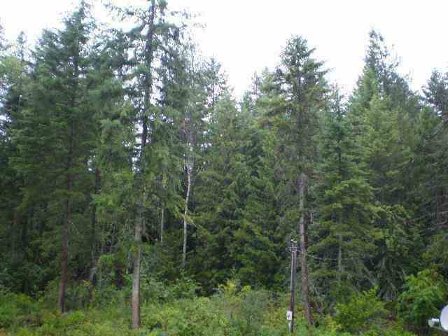 1797 A Swede Pass - Photo 11