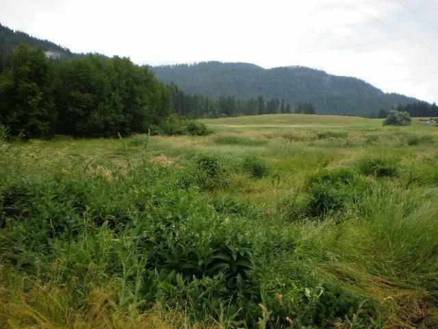 1797 A Swede Pass - Photo 3